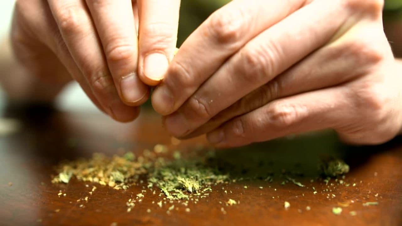 From Stigma to Solution: How Oklahoma’s Medical Marijuana Program is Transforming Perspectives