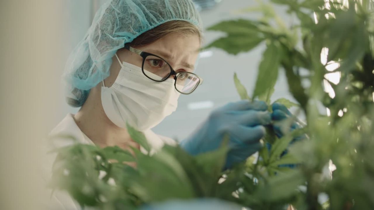 Oklahoma-Medical-Marijuana-Program-Overview