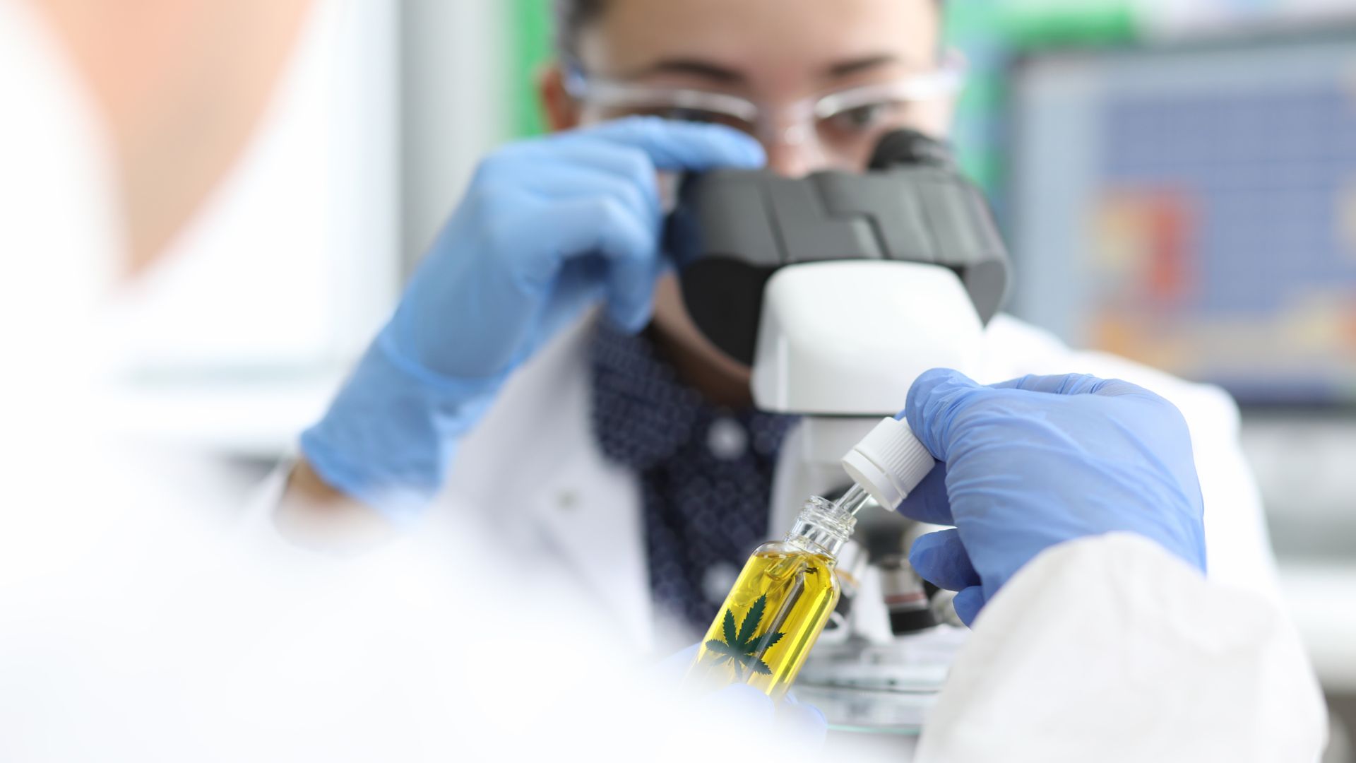 The-Significance-of-Establishing-a-Relationship-with-Your-Physician-for-a-Medical-Card