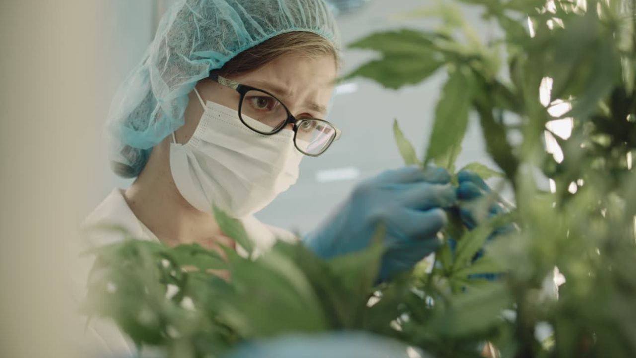 Barriers-to-Accessing-Medical-Marijuana-Programs-in-Oklahoma