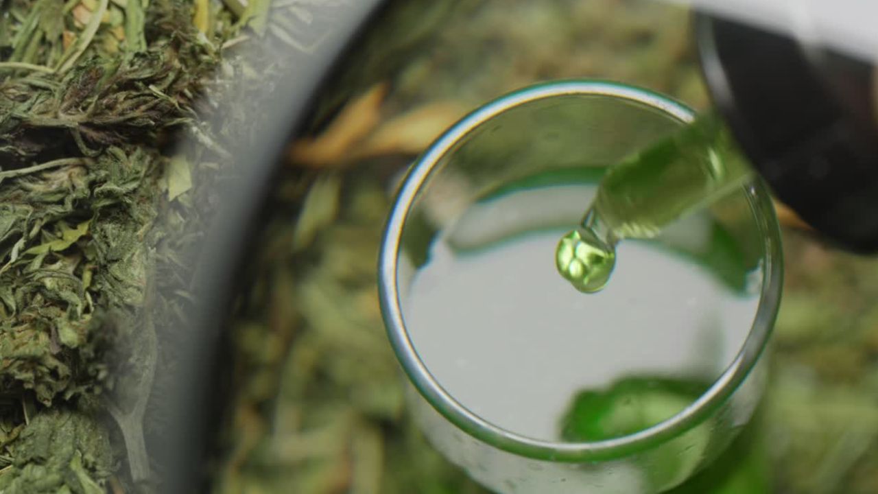 Breaking-the-Stigma-The-Significance-of-Medical-Marijuana