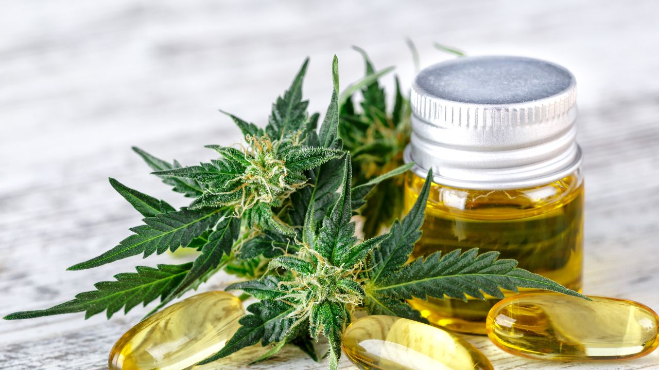 Maintaining-Your-Medical-Marijuana-License