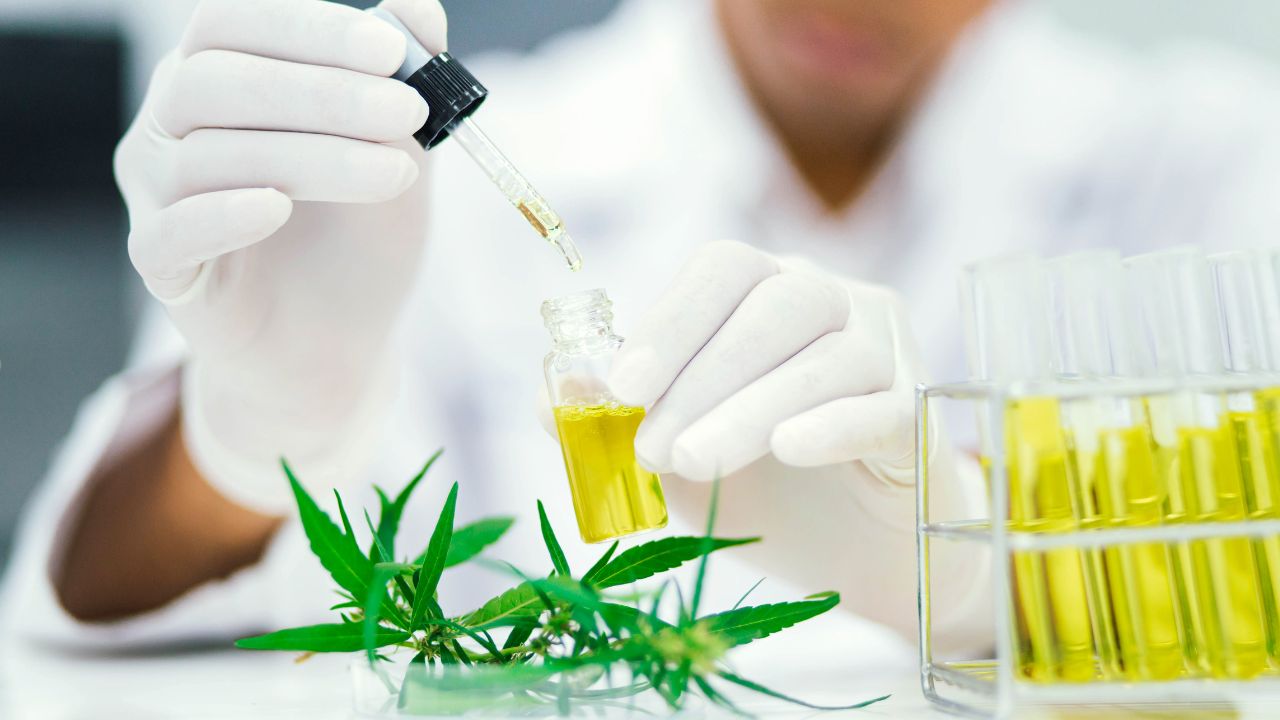 The-Future-of-Medical-Marijuana-Treatment-in-Oklahoma